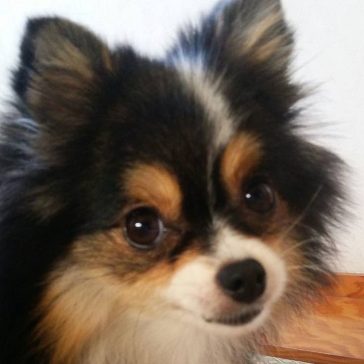 476bb34b 07dc 427b b985 375789c632ce