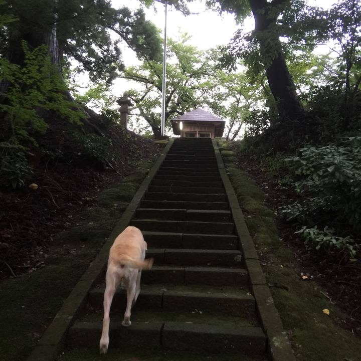 476c2f7f 5ed4 4868 a0fd b389a91b74cb