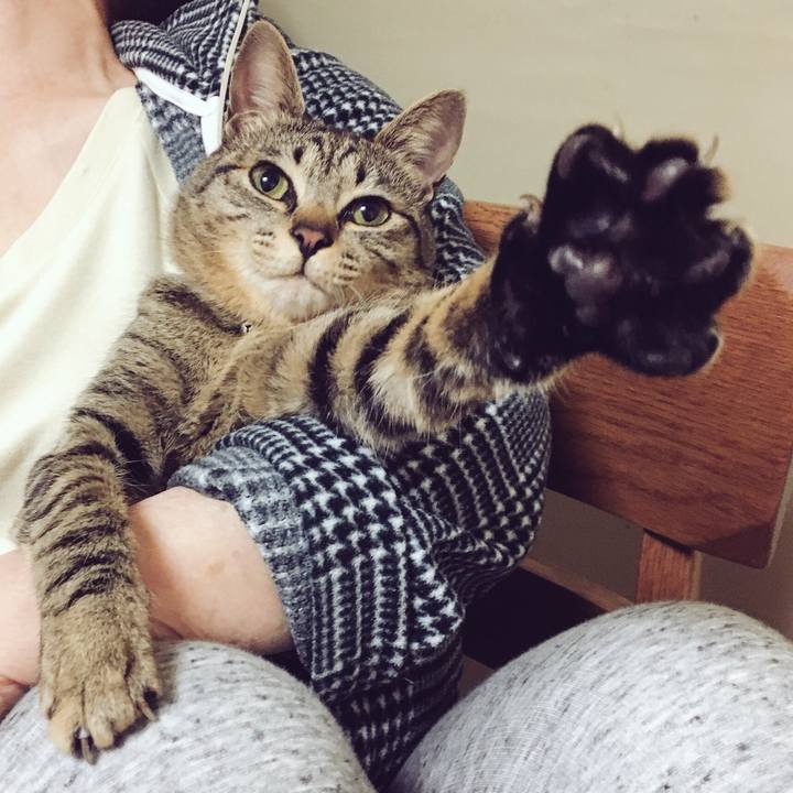 476c358a 9c86 4aff 86f5 e35f92987aad