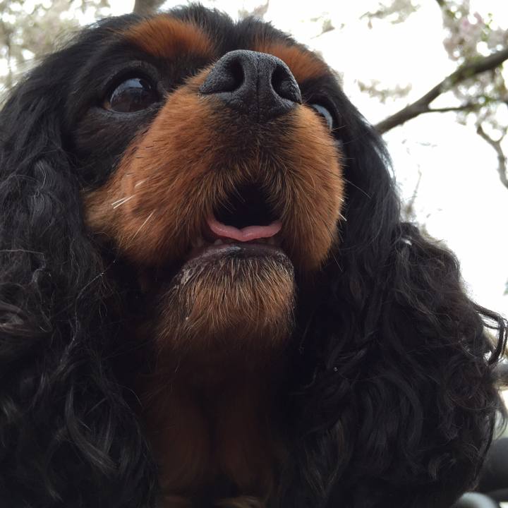 476c3f62 0761 42eb b90c ffc054de45b0