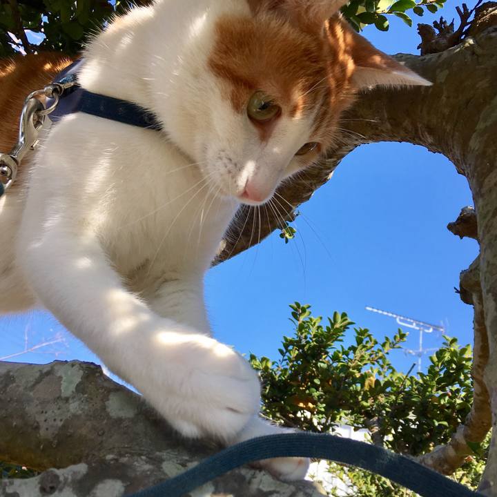 476c5376 0365 4f8a bf09 6263647682bf