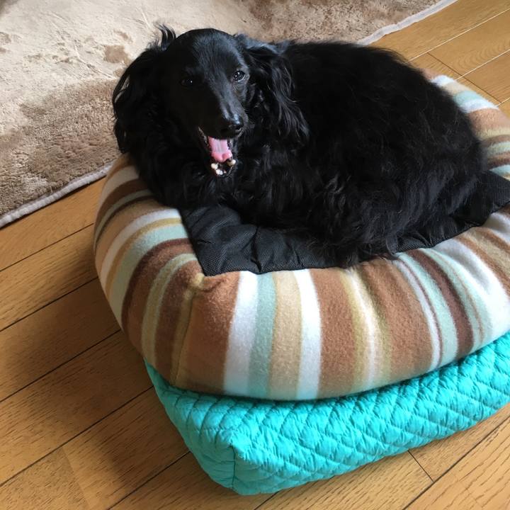 476ca69c 3d78 437f 810b 61511dfe5ad7