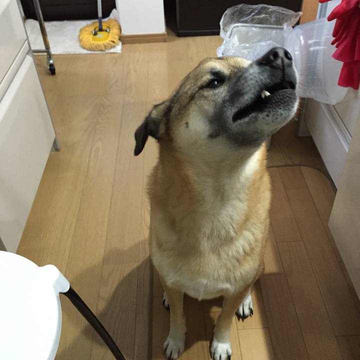 476ce410 371b 4dc2 90dd 463e49ad3f36