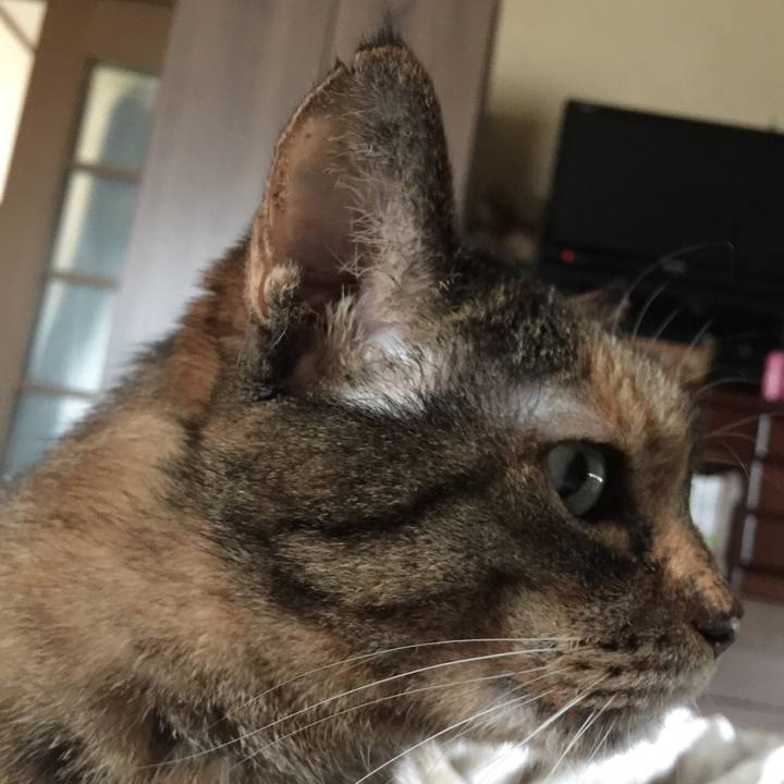 476cf018 e981 4d15 bdb7 c12400397c36