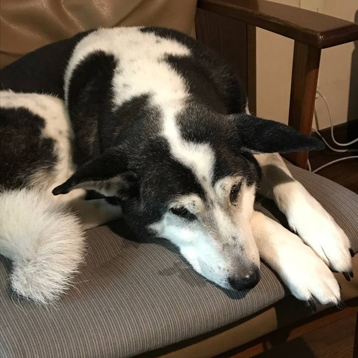 476d8c1a 28f6 4f45 b32c 9aa349ec1078