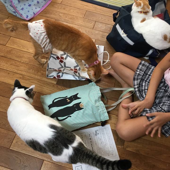 476e8d9e 6986 4905 9650 b37a56240d84