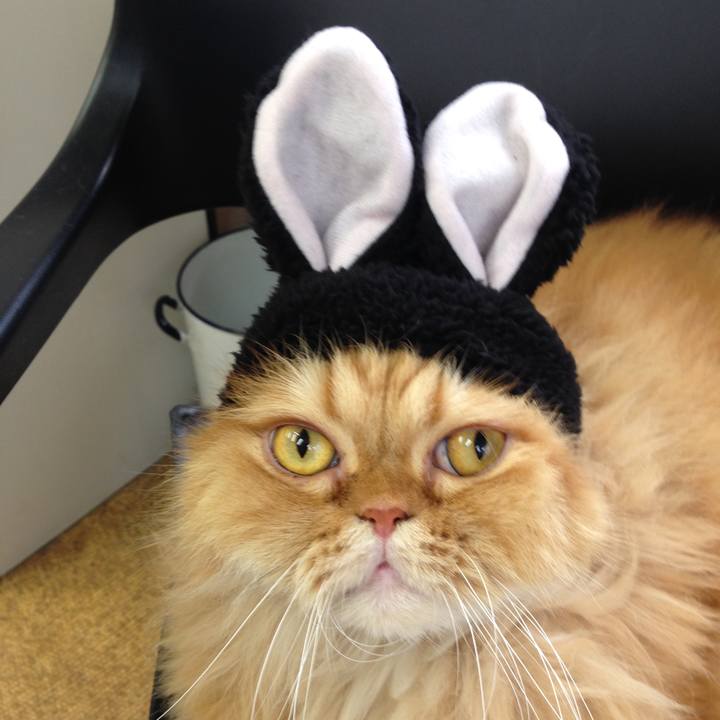 476eb46c 32d7 4379 8778 7f073d90406c