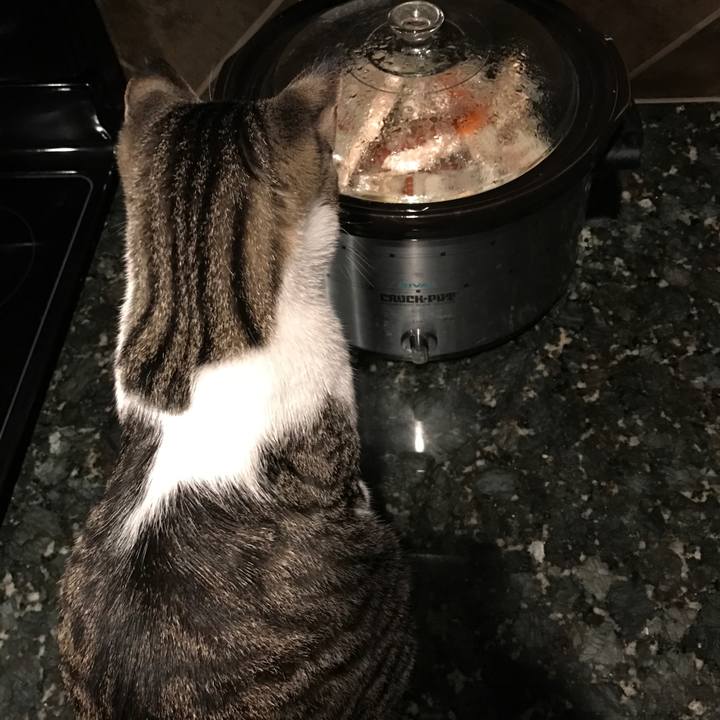 476f066a 9b1b 4819 a64c 988afc142266