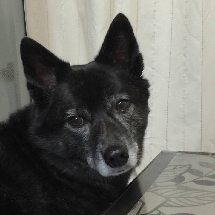 476fbd6c 3358 4d5c 998e a75ea9c656d9