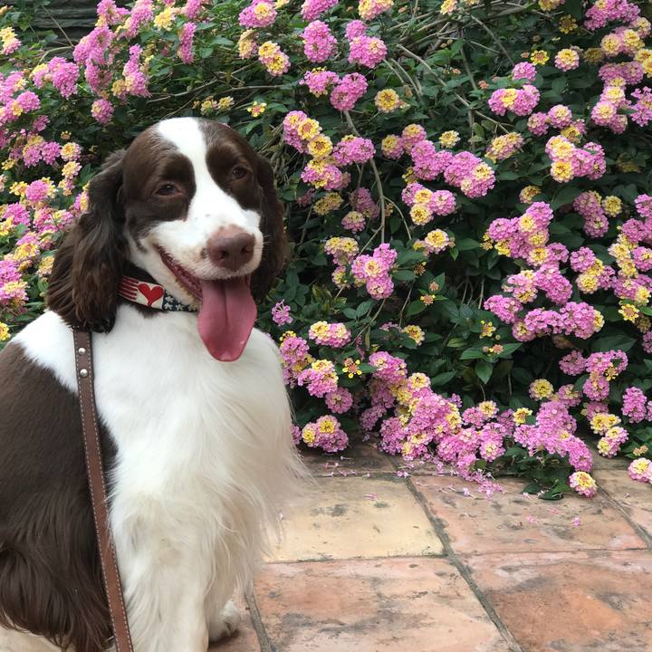 476fdb0f 5396 46c7 bb44 7be969ade983