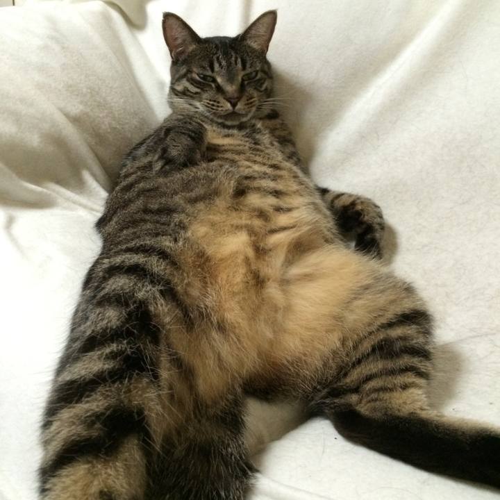 47705d51 53a0 4213 b513 d72da55419d4