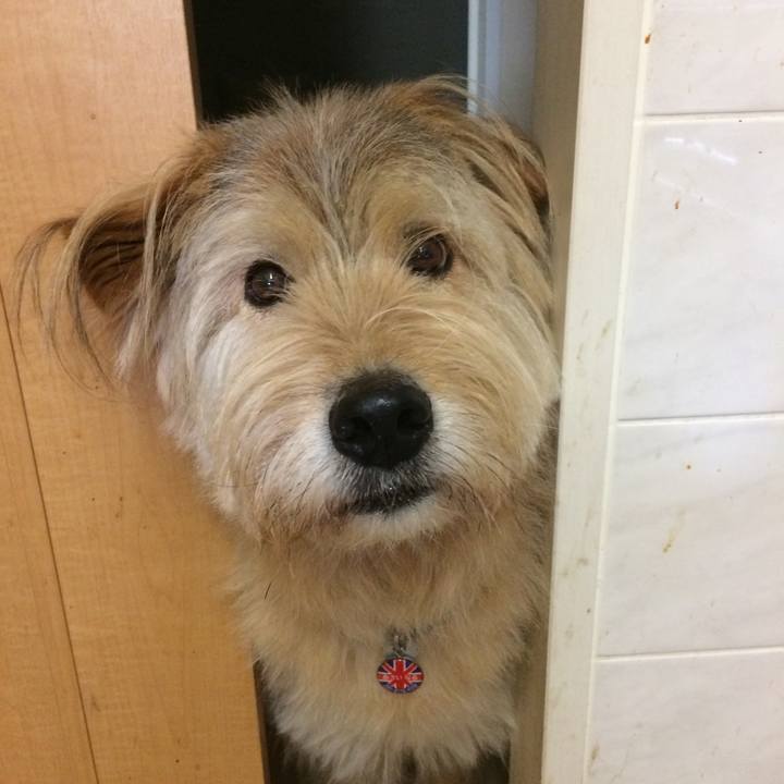 4770f2e4 ceaf 4469 a4d5 a19e7288ed16