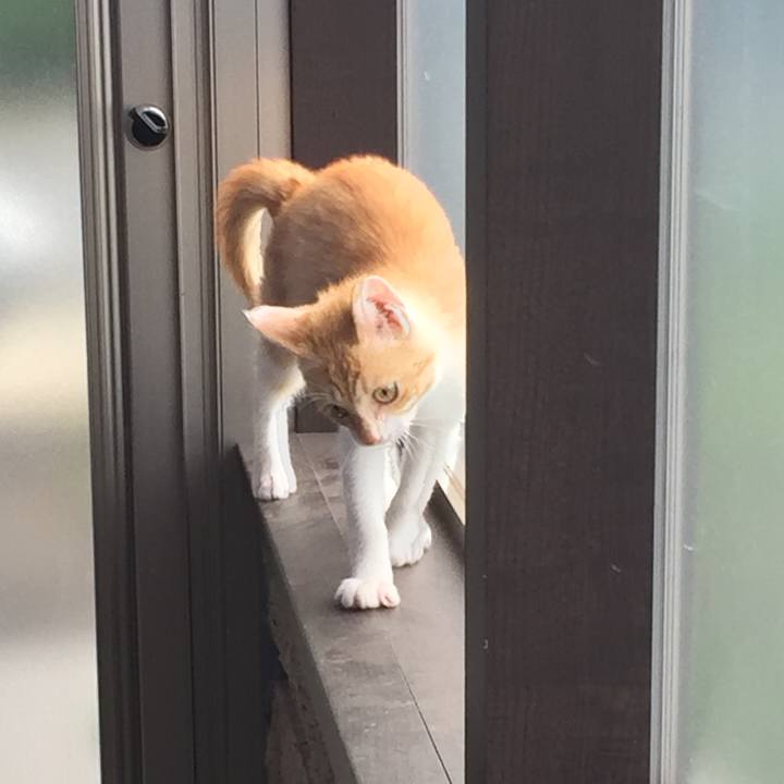 477183d6 2599 453e a176 59ab8c265830