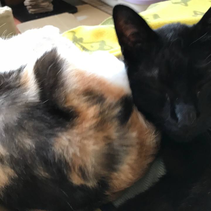 47719257 54c1 4d6e baac 9b893c380a4c