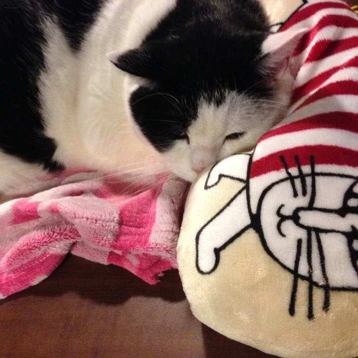 4771973b a1c4 4768 846f 5d1cd8bd5409