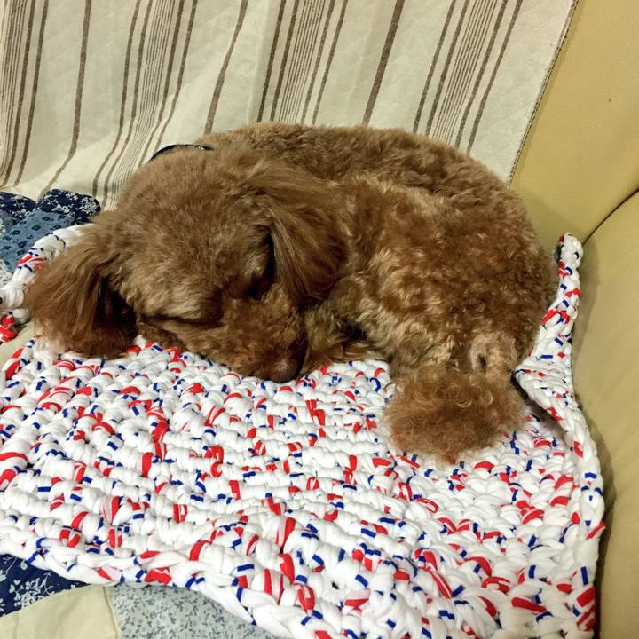 47722df1 dba2 4624 8011 fda1e3bc1e20