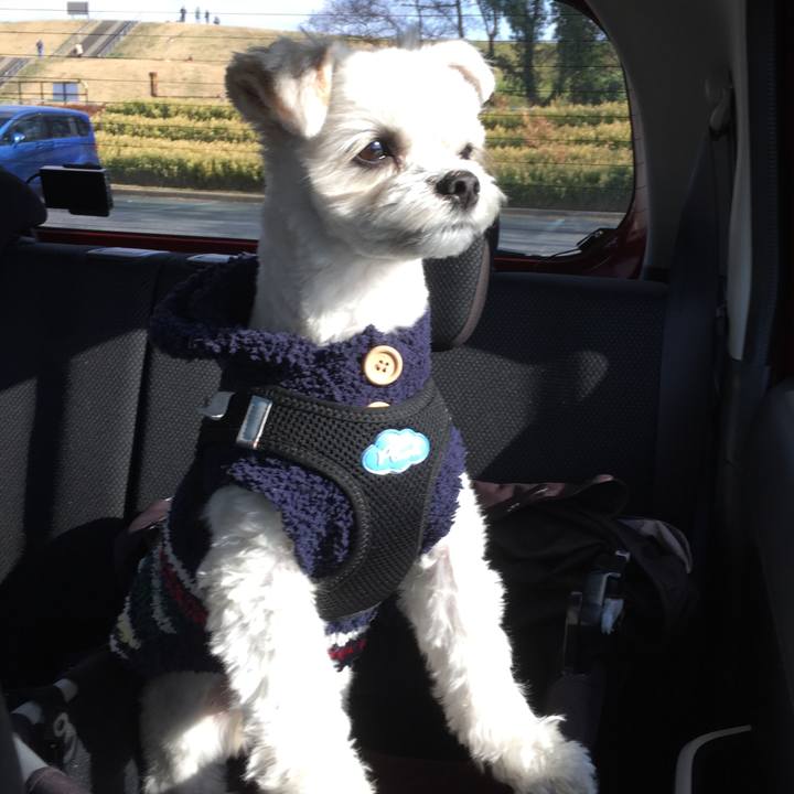 47725cc1 b5e3 477f a4df 435717430177