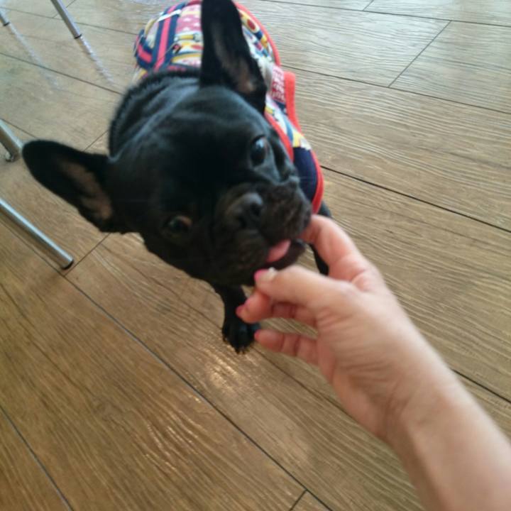 4772e63b c443 4aec a523 3a556b379d62