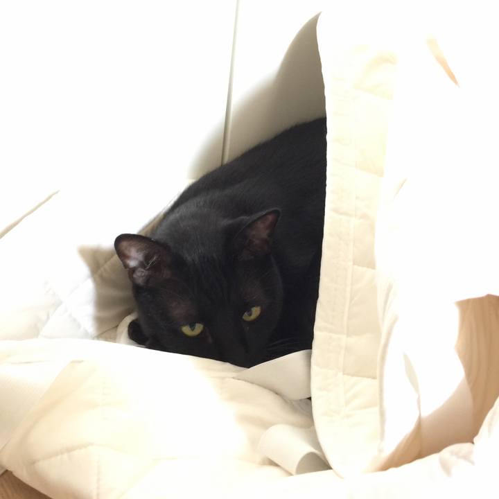 47730ef2 4fce 4621 9908 71244e323fae