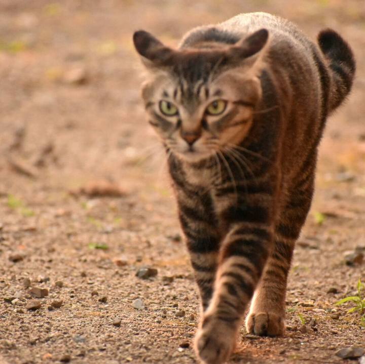 47731dd7 56ea 4eed 847e 449a29862620