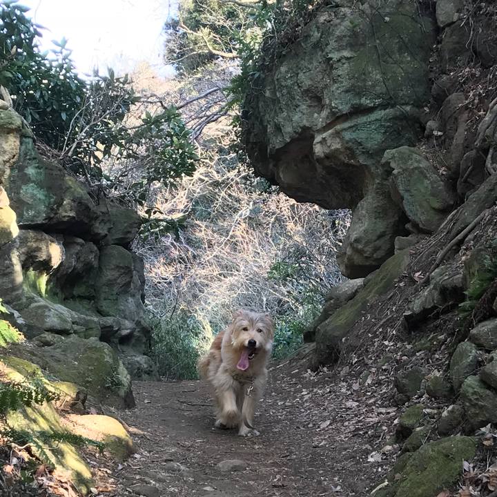 47739b52 8851 47b7 b720 62730956d4e8