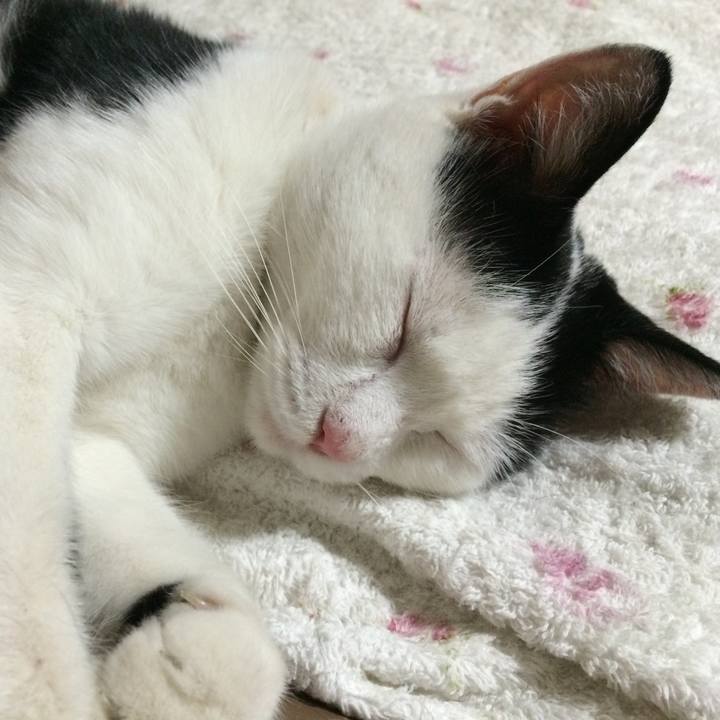 47743019 3edc 4da6 8922 698f3e544bf1