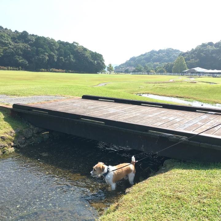 4774c1e4 27bf 41a6 b50a a4f8765755c9