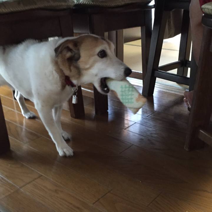 4774e996 38c6 4df1 b299 7c538990029a