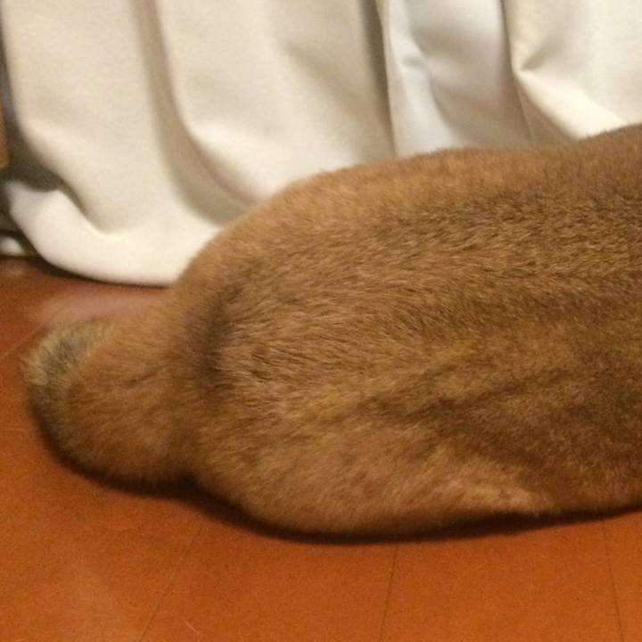 47754669 ac32 4f1d 970e 25486f8c4759