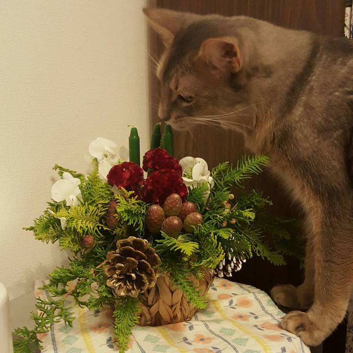 47756d07 be42 40b5 9b82 d5dd0e7df3ab