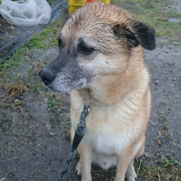 4775845b fc37 4abd 8462 5cda09b57731