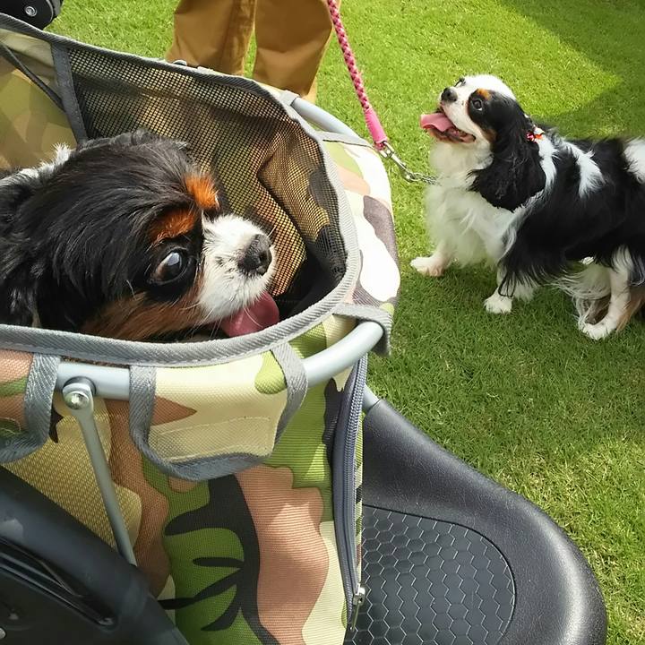 4775b18e 91ce 4270 9477 463965e7fcf3