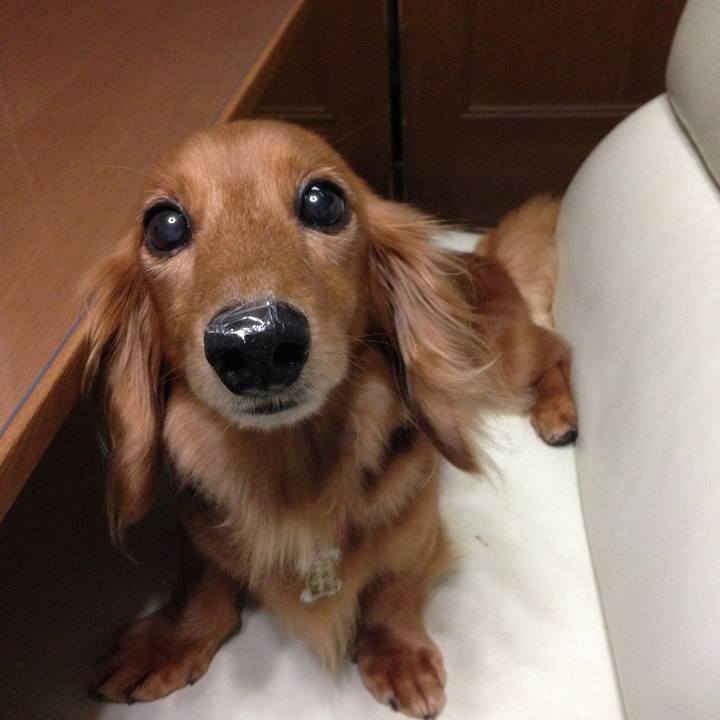 4776376e 106d 4262 a04c 0b6fd1d7a94f