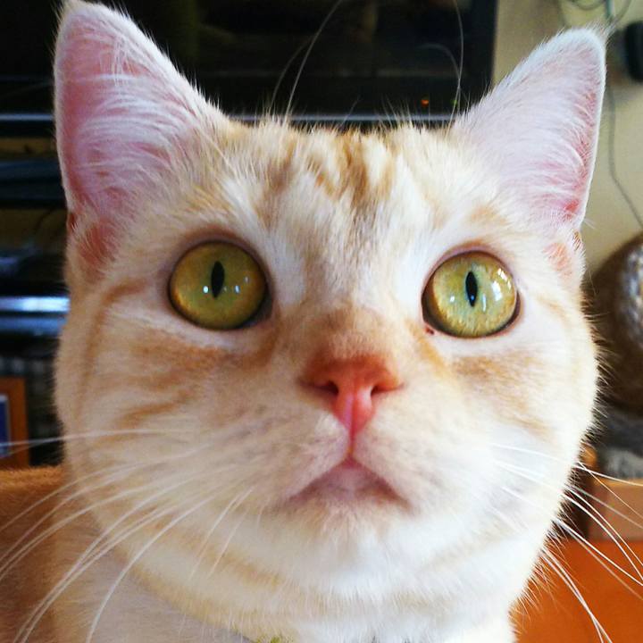 47765b2a cd03 495a 8334 bd7e8dead3eb