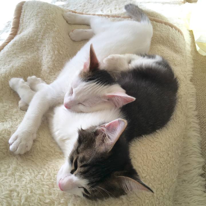 47768117 4b7b 48e0 9a52 10727664ca1b