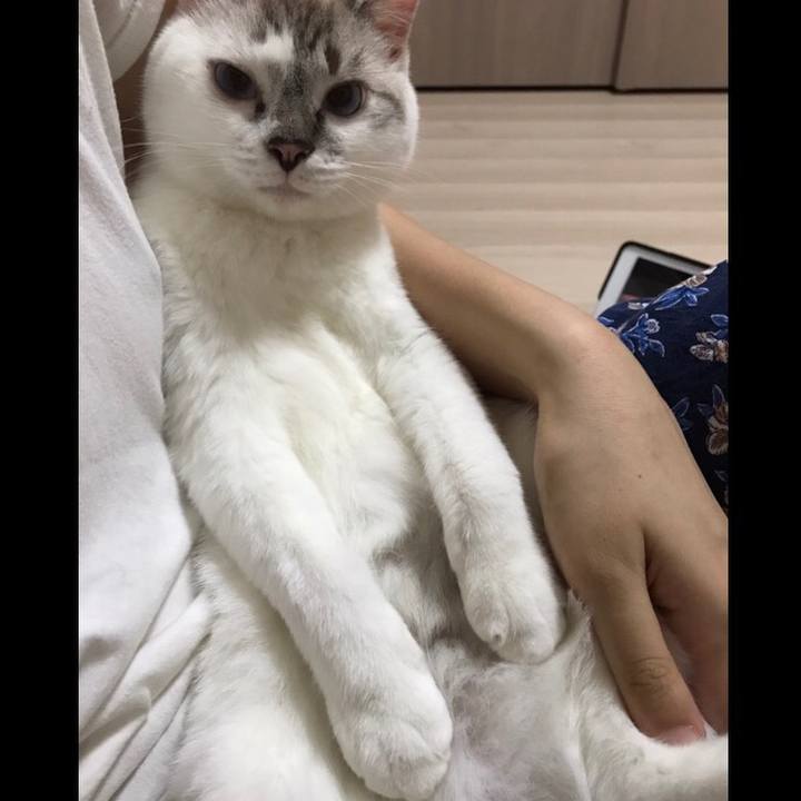 4776abbd a6a9 4b0a 9708 10c4c3a17576