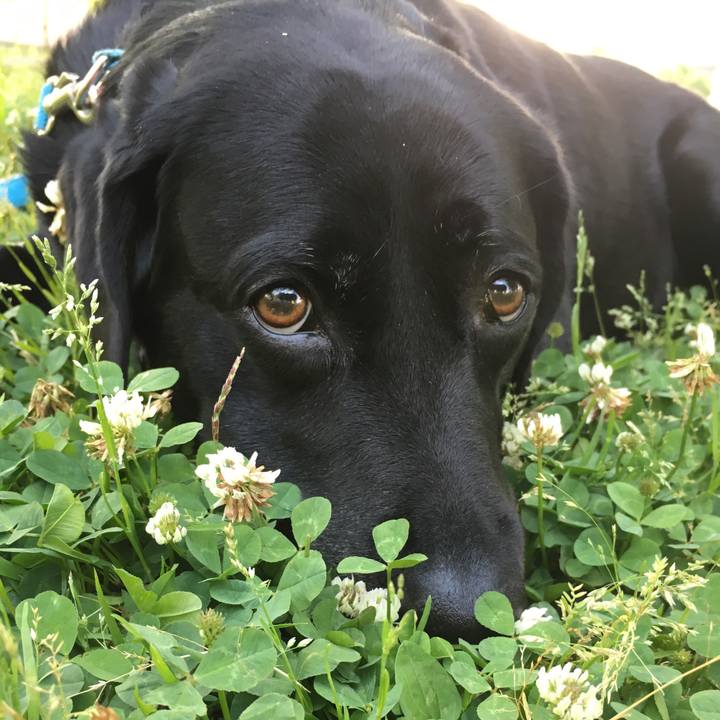 47773d7e 7771 4399 be9a ed357c9e68e0