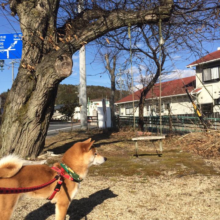 47776300 1a54 4671 8b1c 9d6981e30521