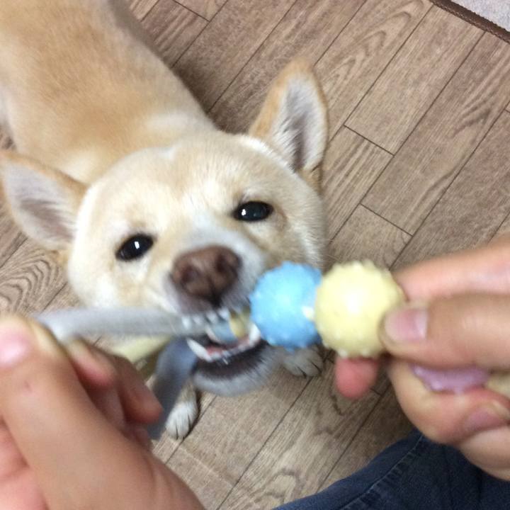 47788768 68e0 4787 8d10 4a0989c8595b