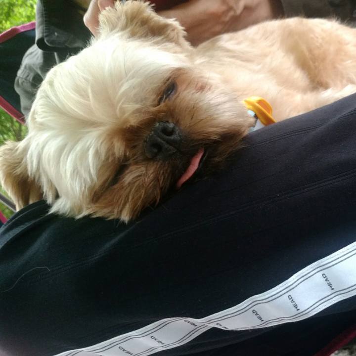 47788eea 3e8d 4605 974e e22b723c65f1