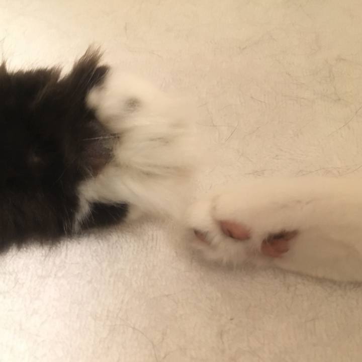 477891fa f3c0 4e74 a287 00e34afee258