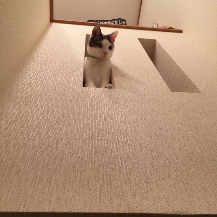 4778a98b feaf 4f16 a8fc b8ff62032841