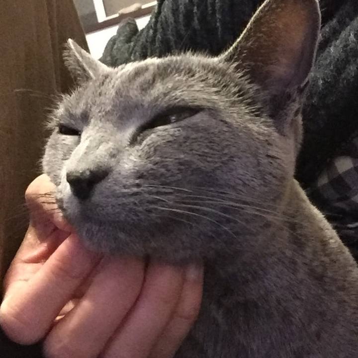 4778d3b6 9f92 4f41 9365 1436fecf85d1