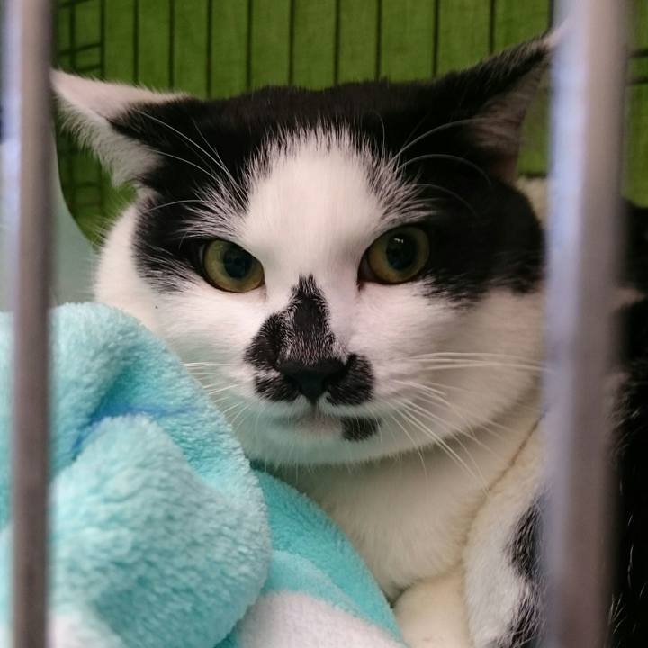 4778f764 045b 40b6 9d8e 90863d8cb89b