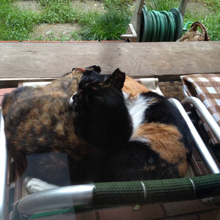 477976b0 de33 4b9a 95b3 620c801f0a32