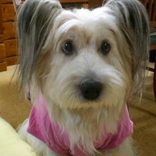 47797eed 791d 4292 b479 af44fbe6d457