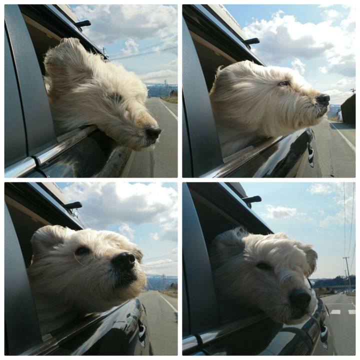 477a3efc 3cae 4f05 8f07 135aa2d8022e