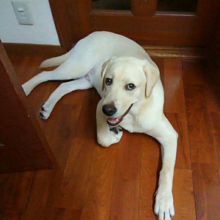 477a67ce caa6 4a25 8300 f3fc8465e4c3