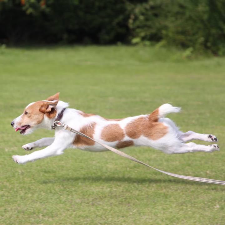 477c0d71 c052 4f78 9fc1 5f6768240274