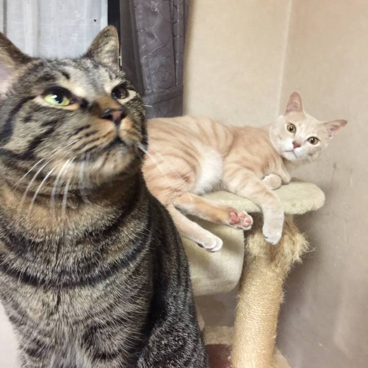 477c1c3e cb92 47f4 84ca 531af1da7dfa